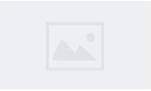 What are the main jobs of bodyguards?