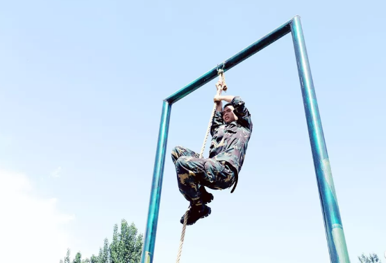 What skills do you have as an ace shield professional bodyguard?