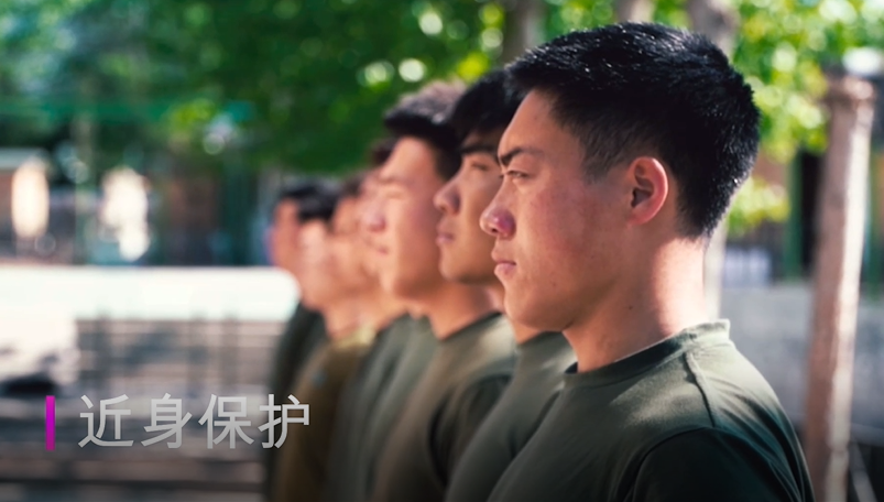 What is the daily work of WangPaiDun bodyguard?