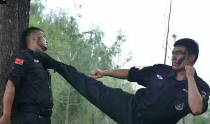 What are the daily exercises of WangPaiDun bodyguard company?