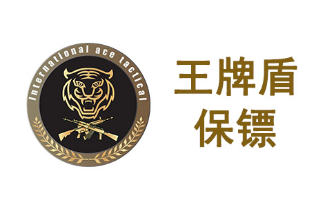 What is the president's bodyguard like?