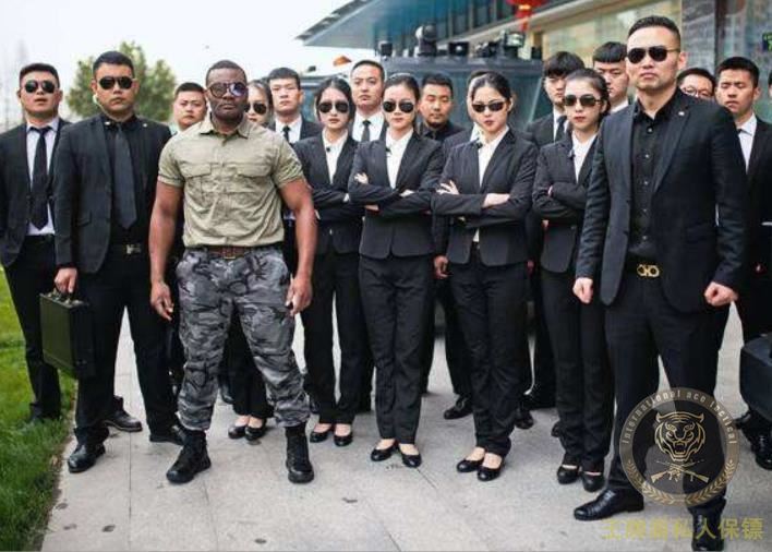 Bodyguard modern bodyguard