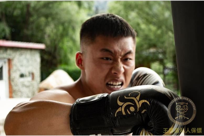 On bodyguard fighting technology