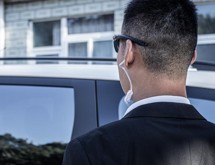 Are the personal bodyguards of WangPaiDun high quality?