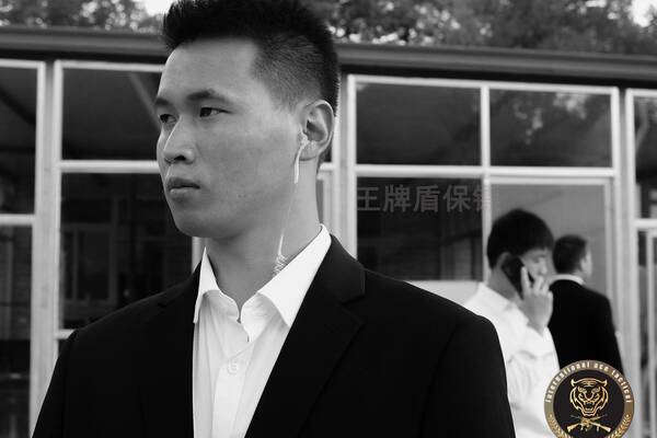 What kind of career is Beijing bodyguard?