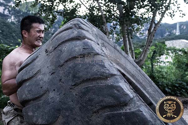 Why has Beijing ace shield bodyguard company become a leading enterprise in the industry?