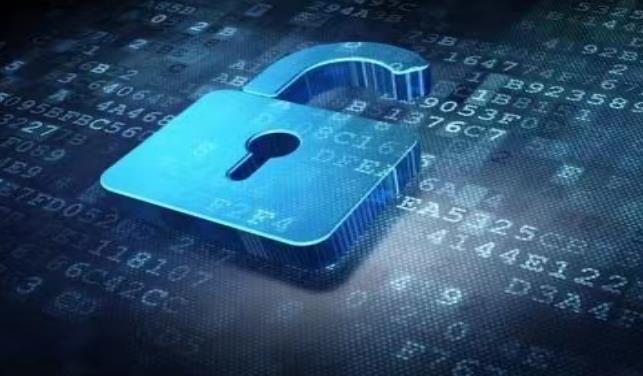 Privacy data protection is also a service provided by bodyguard companies